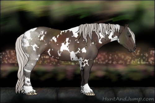 Horse Color:White Spotted Silver Brown