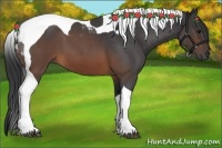 Horse Color:Brown Roan Tobiano 