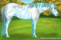 Horse Color:Thunderstruck White Spotted Bay Tobiano Frame Appaloosa Rabicano 