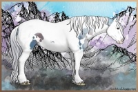 Horse Color:Watercolor White Spotted Liver Chestnut Splash Tobiano