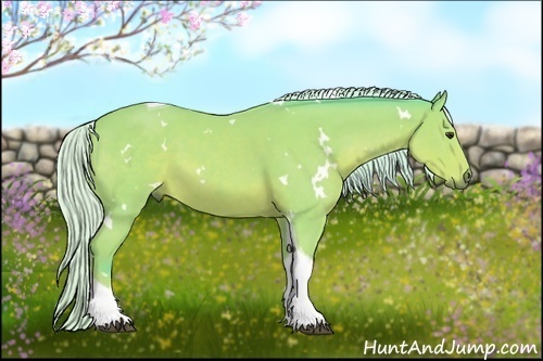 Horse Color:Watercolor White Spotted Silver Bay Tobiano 