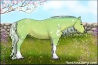 Horse Color:Watercolor White Spotted Silver Bay Tobiano 