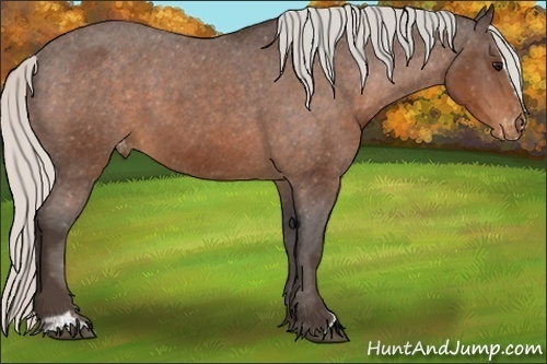 Horse Color:Silver Brown Sabino Varnish 