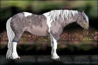 Horse Color:Watercolor Silver Bay Ice Dun Sabino Tobiano 