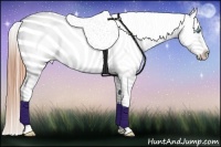 Horse Color:Buckskin Pearl Varnish Rabicano 