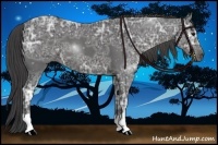 Horse Color:Smoky Black Ice 
