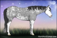 Horse Color:Smoky Black Ice Sabino Splash