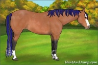 Horse Color:Painted Bay Splash 