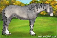 Horse Color:Blue Onyx Varnish 