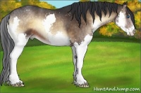 Horse Color:Brown Onyx Splash
