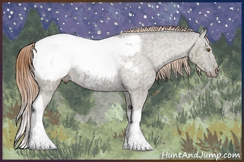Horse Color:Buckskin Ice Dun Sabino Tobiano Snowcap Brindle