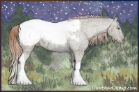 Horse Color:Buckskin Ice Dun Sabino Tobiano Snowcap Brindle