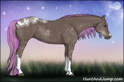 Horse Color:Painted Silver Black Ice 