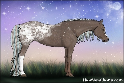 Horse Color:Painted Silver Black Ice