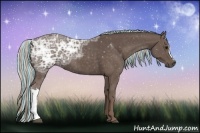 Horse Color:Painted Silver Black Ice