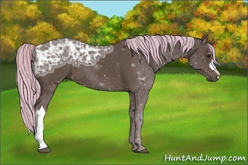 Horse Color:Painted Silver Black Ice