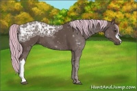 Horse Color:Painted Silver Black Ice 