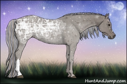 Horse Color:Painted Silver Black Ice 