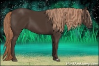 Horse Color:Liver Chestnut 