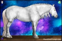 Horse Color:Sable Champagne Sabino Splash Appaloosa 