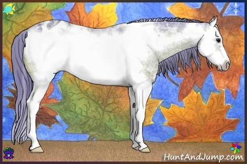 Horse Color:Watercolor Bay Ice Splash Frame Varnish