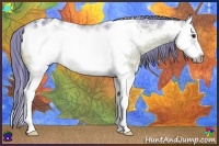 Horse Color:Watercolor Bay Ice Splash Frame Appaloosa