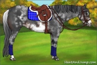 Horse Color:White Spotted Brown Roan Frame 