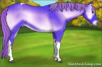 Horse Color:Watercolor Red Onyx Tobiano 