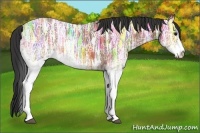 Horse Color:White Spotted Bay Ice Rabicano