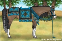 Horse Color:Bay Dun Splash 