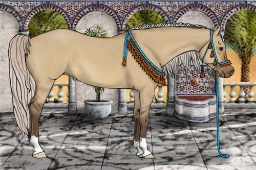 Horse Color:Silver Bay Roan Dun 