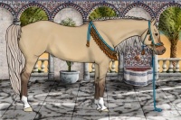 Horse Color:Silver Bay Roan Dun 