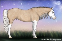 Horse Color:Silver Bay Roan Dun Splash 