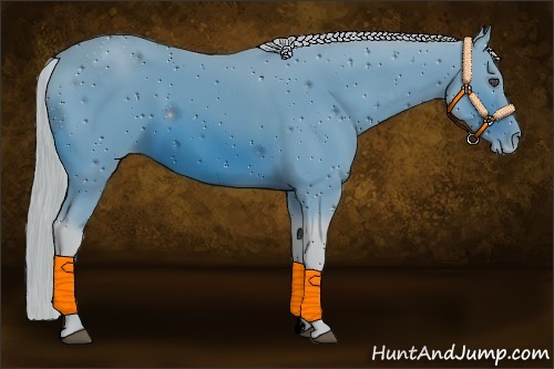 Horse Color:ERROR: UNKNOWN ANOMALY