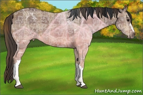 Horse Color:Plaid  Bay Ice 