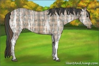 Horse Color:Plaid  Bay Ice 