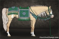 Horse Color:Silver Classic Champagne Roan Dun Frame 
