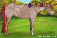 Horse Color:Painted Chestnut Ice