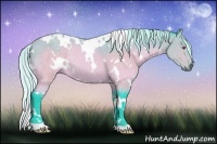 Horse Color:Watercolor White Spotted Silver Brown Chinchilla Rabicano 