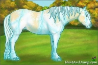 Horse Color:Thunderstruck White Spotted Silver Amber Cream Champagne Dun 