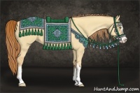 Horse Color:Gold Champagne Dun Sabino 