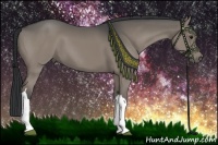 Horse Color:Grullo 