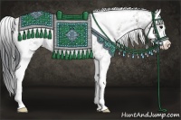 Horse Color:Grullo Sabino Splash Brindle 