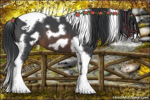 Horse Color:Brown Roan Tobiano Frame 