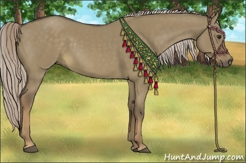 Horse Color:Chocolate Palomino Dun