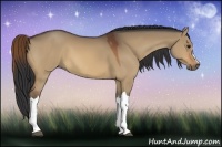 Horse Color:Bay Dun