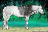 Horse Color:Liver Chestnut Ice Rabicano