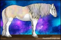 Horse Color:Nacre Silver Buckskin Roan Splash 