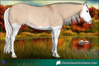 Horse Color:Silver Bay Dun Splash Rabicano