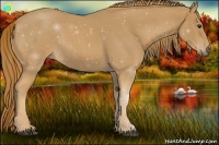 Horse Color:Red Roan Rabicano 